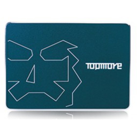 達墨TOPMORE 480GB 2.5吋SATAIII SSD(TLC) 全新 G-1776