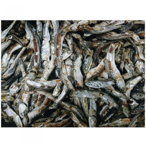 低溫配送_小魚乾건멸치(육수용)湯1.5kg 全新 G-8457