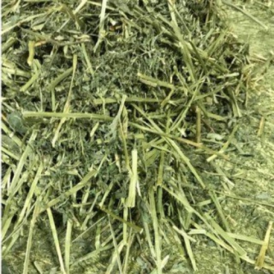 品名: 兔草 - 苜蓿草 2KG 全新 G-8518